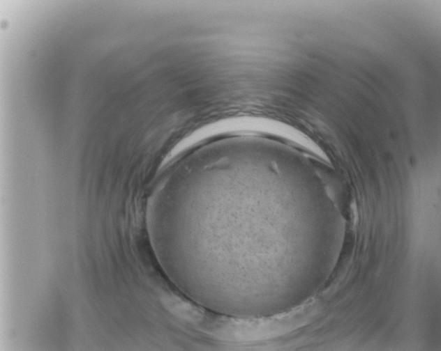 X0000066510037200603241318