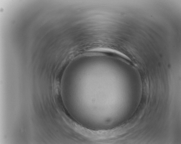 X0000066510038200603241318