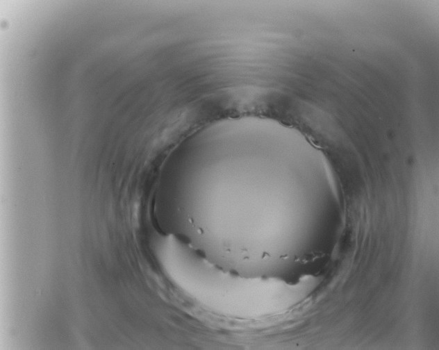 X0000066510039200603241318