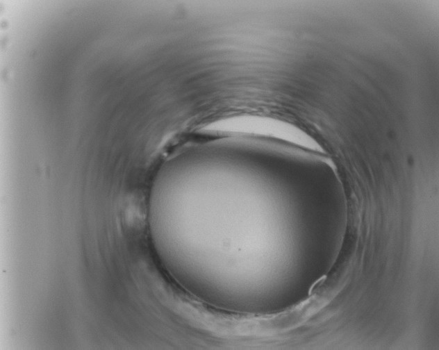 X0000066510040200603241318