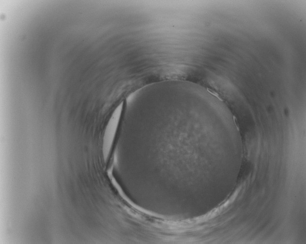 X0000066510041200603241318