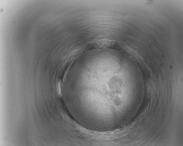 X0000066510042200603241317