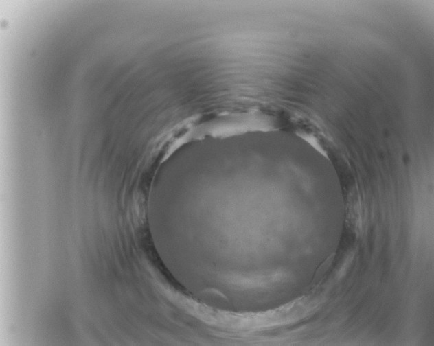 X0000066510043200603241317