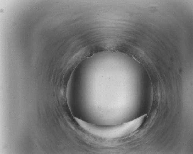 X0000066510044200603241317