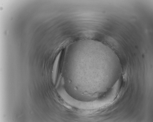 X0000066510045200603241317