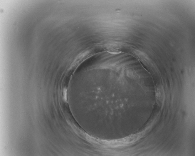 X0000066510046200603241317