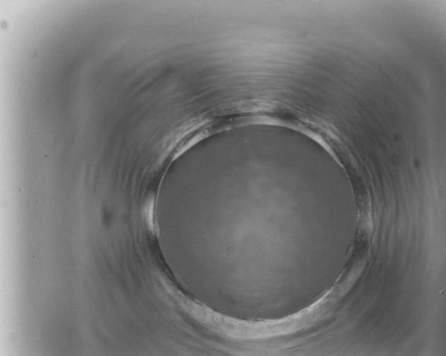 X0000066510047200603241317