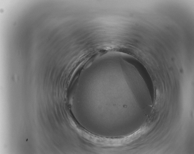 X0000066510048200603241317