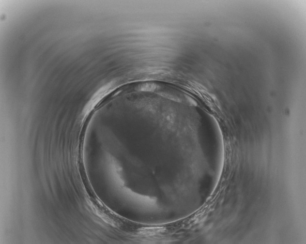 X0000066510051200603241317