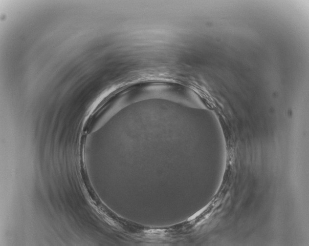 X0000066510052200603241317