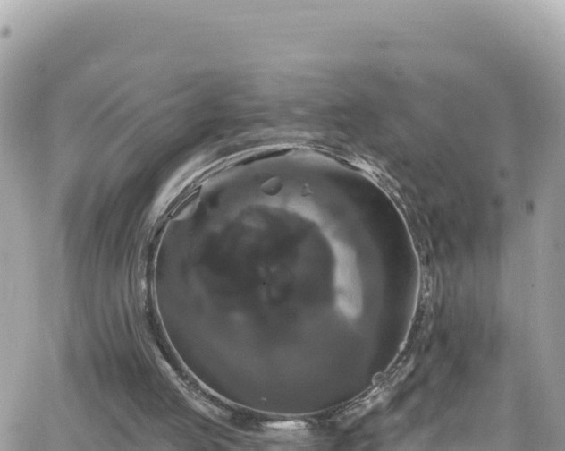 X0000066510053200603241317