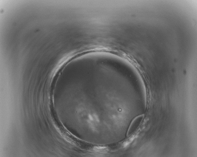 X0000066510055200603241317