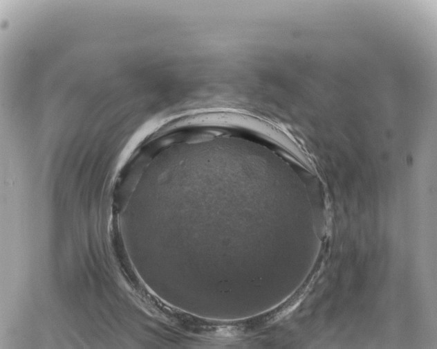 X0000066510056200603241317