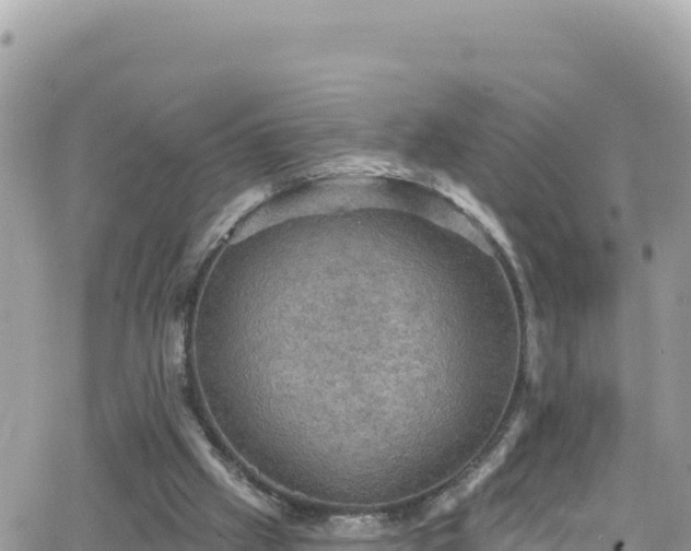 X0000066510057200603241317