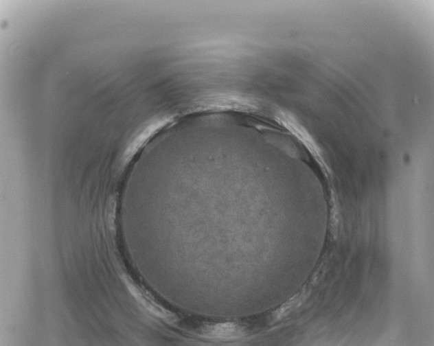 X0000066510058200603241317