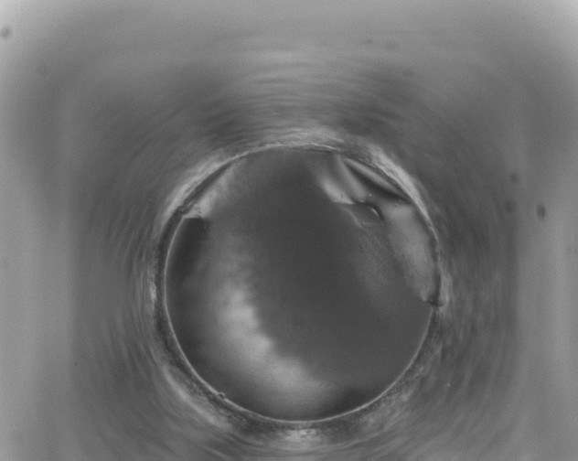 X0000066510059200603241317