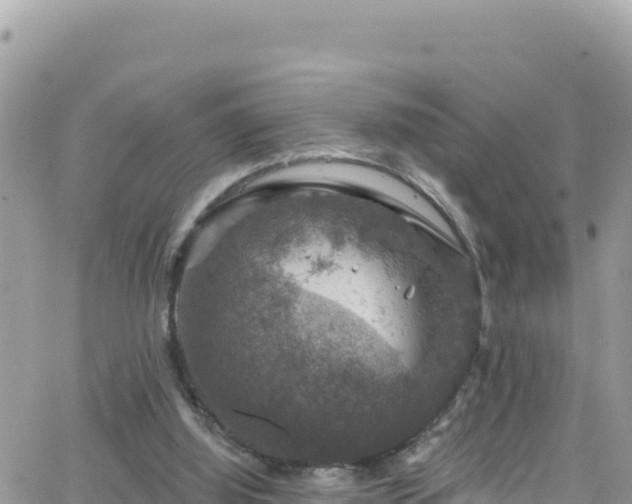 X0000066510060200603241317