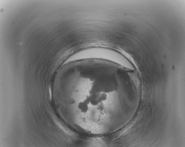 X0000066510061200603241317