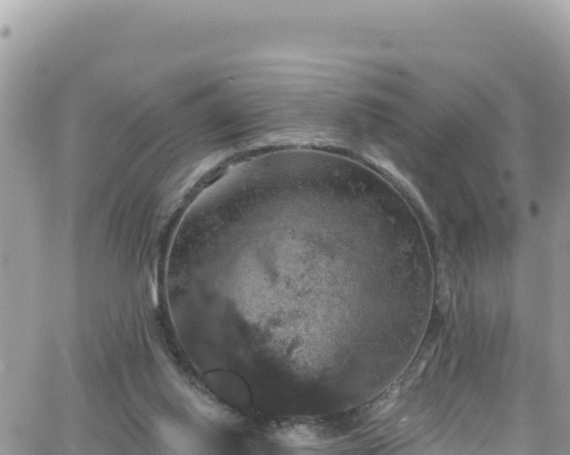 X0000066510062200603241317