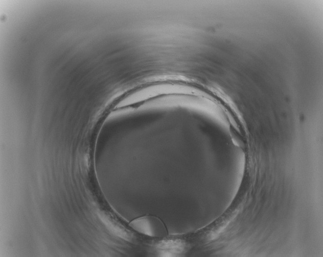 X0000066510063200603241317