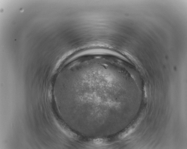 X0000066510064200603241317