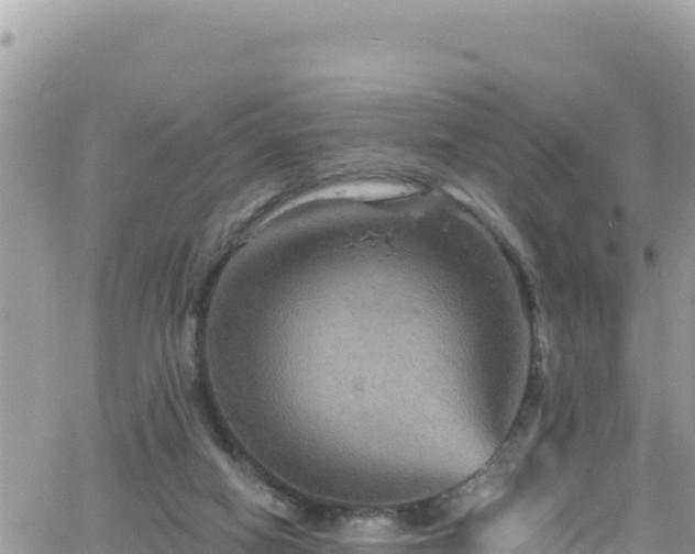 X0000066510066200603241317