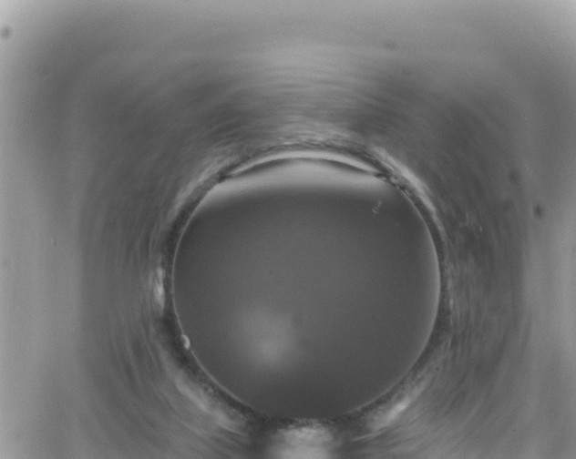 X0000066510067200603241317