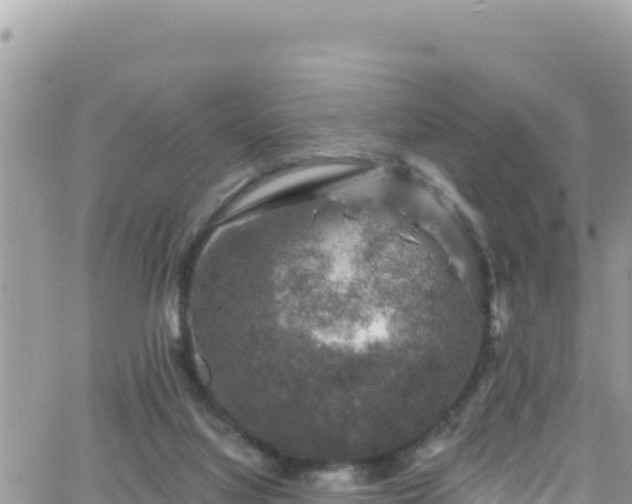 X0000066510068200603241317