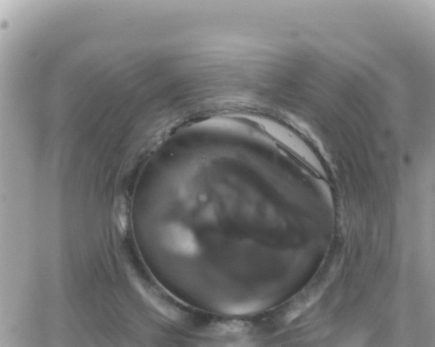 X0000066510069200603241317