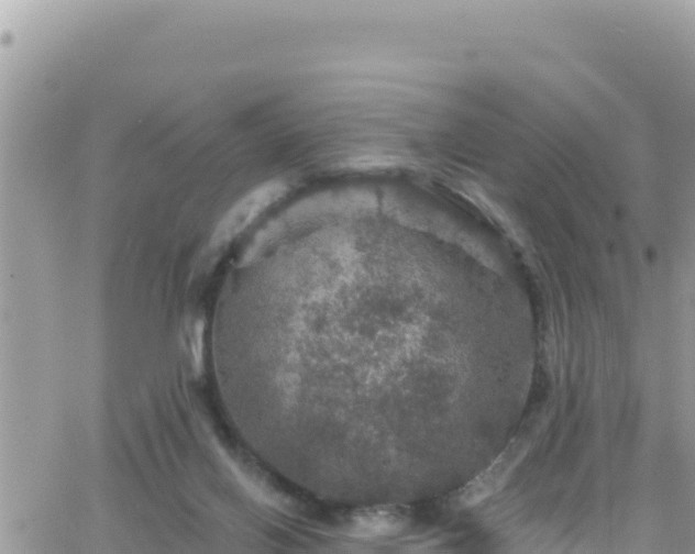 X0000066510070200603241317