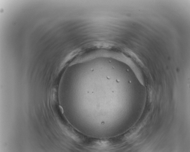 X0000066510071200603241317