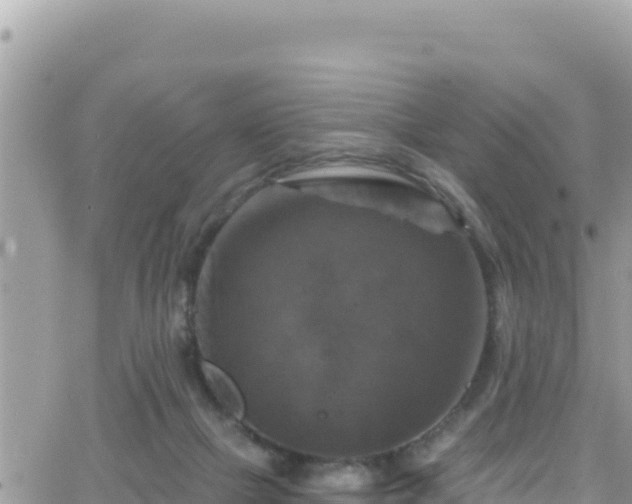 X0000066510073200603241317