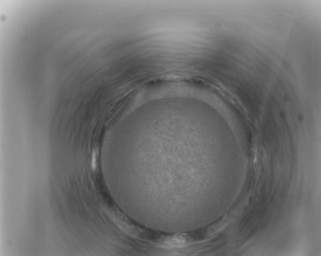 X0000066510075200603241317