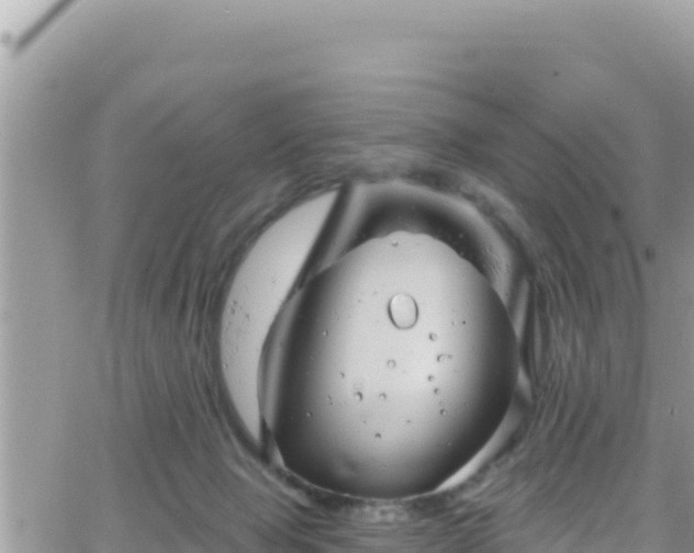 X0000066510077200603241317