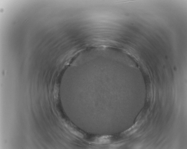 X0000066510078200603241317