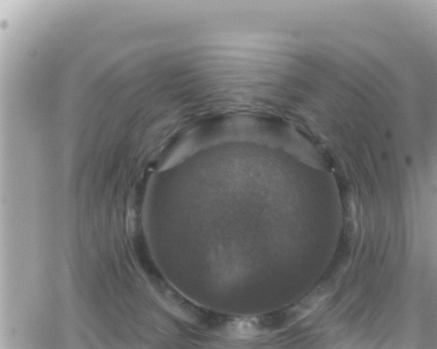 X0000066510080200603241317