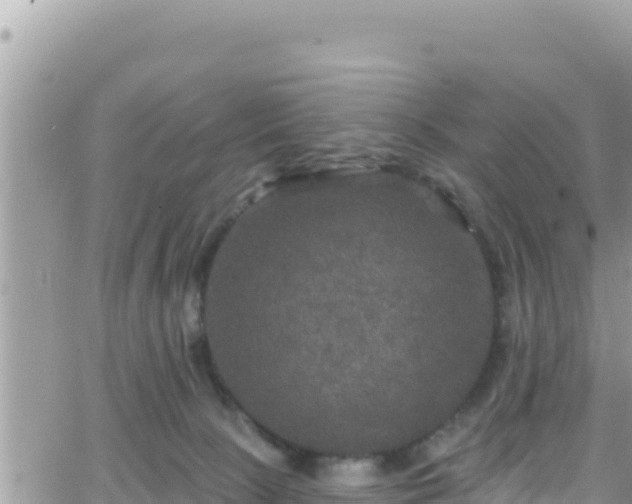 X0000066510081200603241317