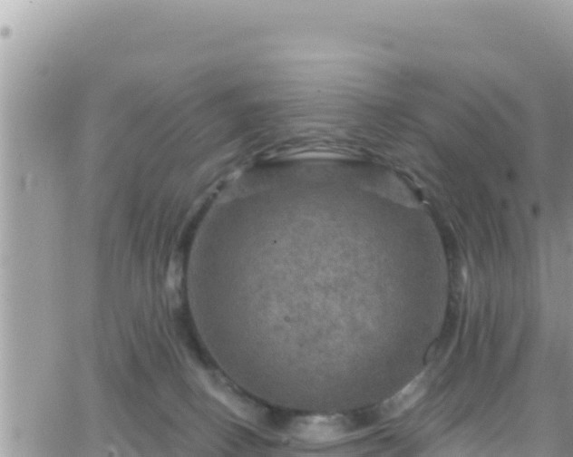 X0000066510082200603241317