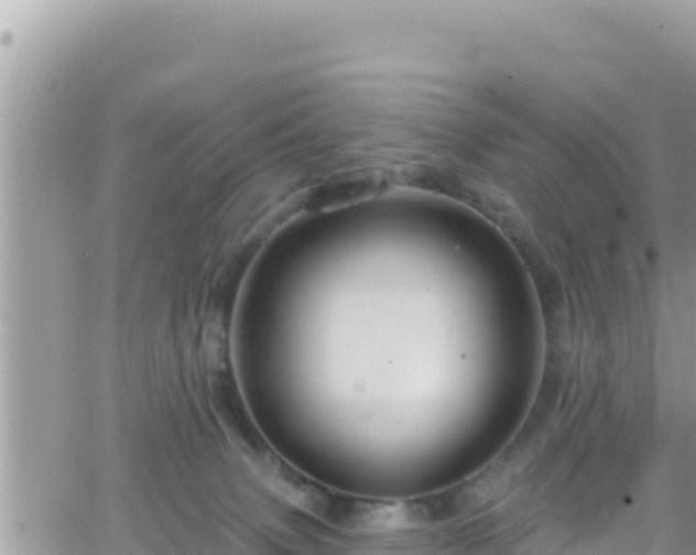 X0000066510083200603241317