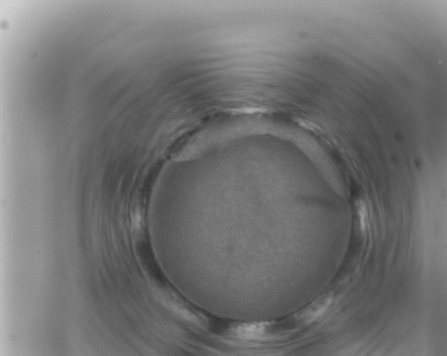 X0000066510084200603241317