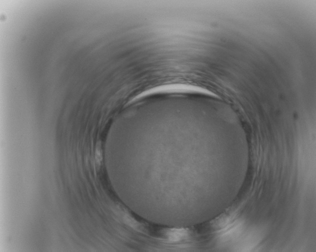 X0000066510085200603241317