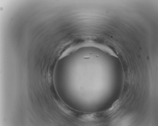 X0000066510086200603241317