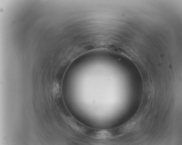 X0000066510087200603241317