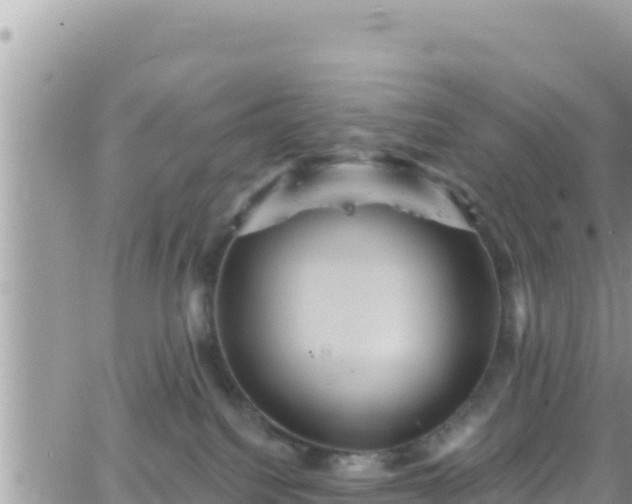 X0000066510088200603241317