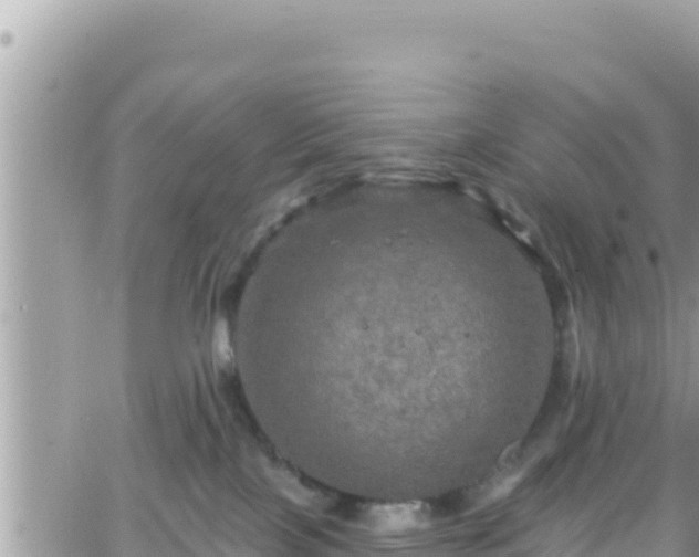 X0000066510089200603241317