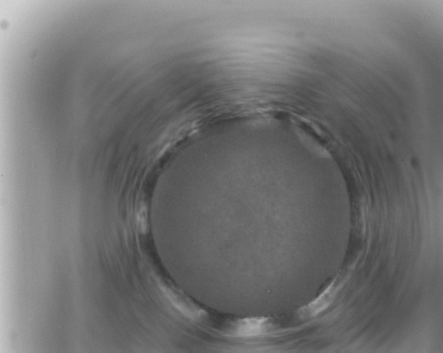 X0000066510090200603241317