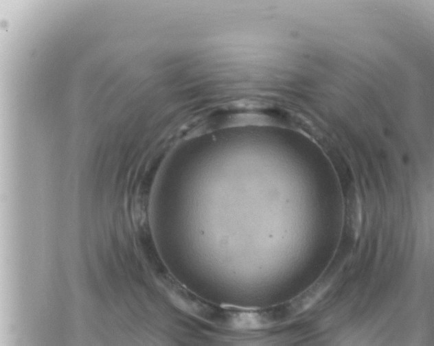 X0000066510091200603241317