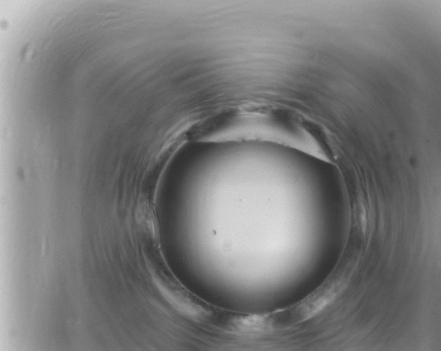 X0000066510092200603241317