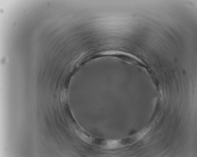 X0000066510093200603241317