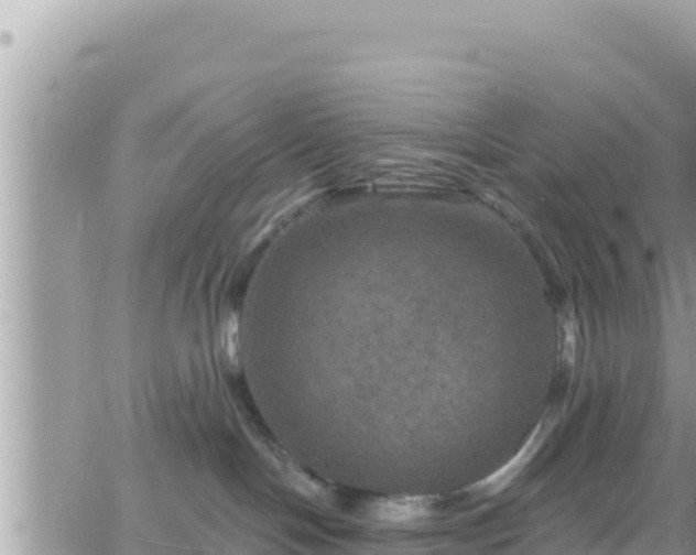 X0000066510094200603241317